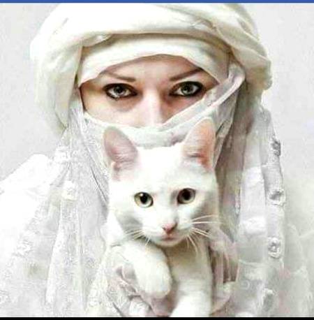 کبھی خود کو اتنا قیمتی مت سمجھو
کہ ہرکوئی تمہیں
دل سے نکال دے.

جس چیزکی قیمت زیادہ ہوتی ہے اسے اکثر لوگ چھوڑ جاتے ہیں