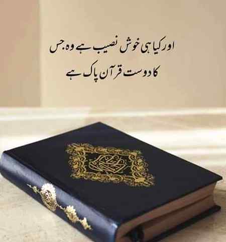 Right lines💖