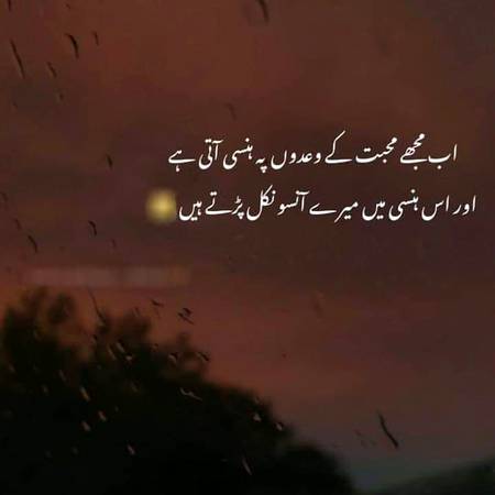 Nice word