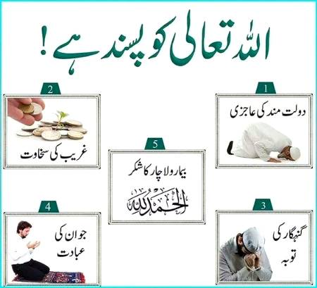 اللہ کو پسندیدہ اعمال 💞💕💕💕