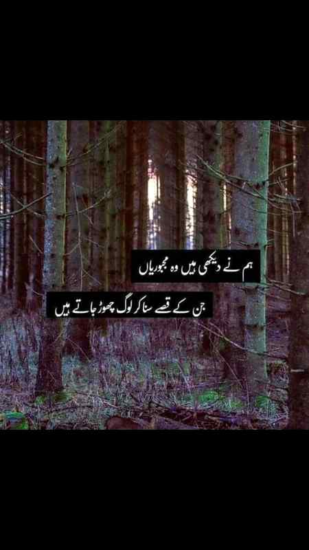 زندگی کی اصل خوبصورتی یہ نہیں کے آپ کتنے خوش ہیں ، بلکہ زندگی کی اصل خوبصورتی تو یہ ہے کہ دوسرے آپ سے کتنا خوش ہیں۔ ❤