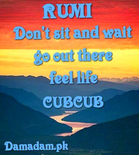 RUMI'S WORDS