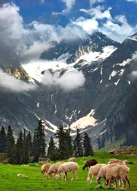 Kumrat valley....