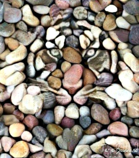 Beautiful art of tiger