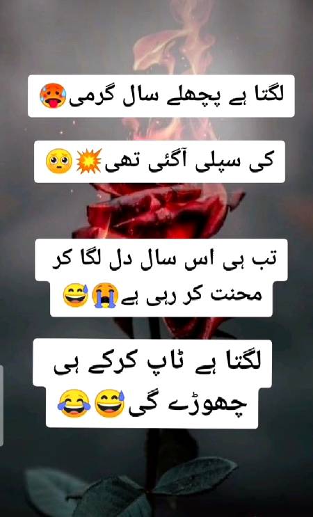 لگتا ھے پچھلے سال گرمی کی