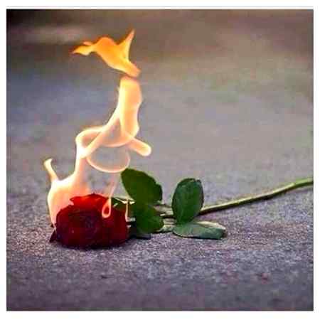 جاتے جاتے آپ  اتنا کام  تو  کیجیے میرا
یاد  کا  سروساماں  جلاتے  جائیے___!
- H∆mzıı.. 🤹♂️�