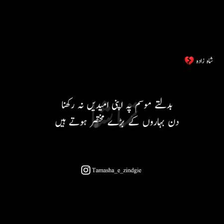 Din Baharon K Bary Mukhtasar Hoty Hain