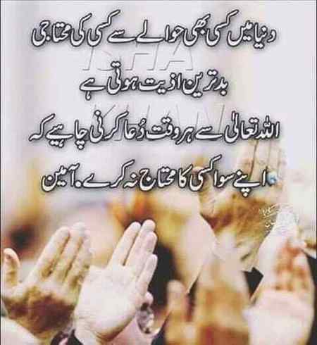 Ameen🌹🌹🌻🌻🥀🥀