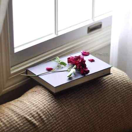 اکثر لڑکیاں والدین کے واسطے دینے پر محبت سے دستبردار ہو کر،گھر تو بسا ہی لیتی ہیں۔ مگر جب کوئی ان سے پوچھے کہ کیا تم خوش ہو؟؟؟ تو ایسی تلخ مسکراہٹ ہونٹوں پہ ابھرتی ہے کہ  پورے سوال کا جواب ویران آنکھیں اور زخمی مسکراہٹ دے دیتی ہے۔!

🐺Bʟᴀᴄᴋ ᴡᴏʟғ🐺