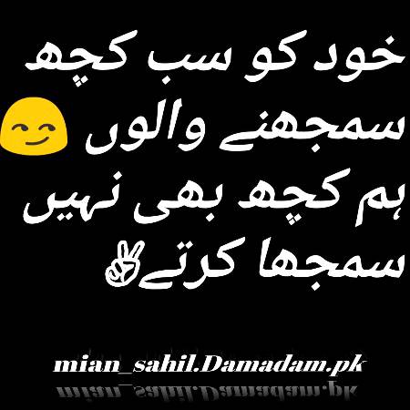 ہم کچھ بھی نہیں سمجھا کرتے