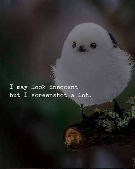 Look  inocent
