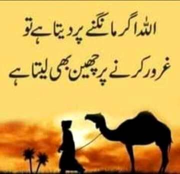 Beshak😊😊😊
