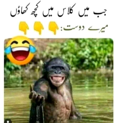 Mere dost👇👇