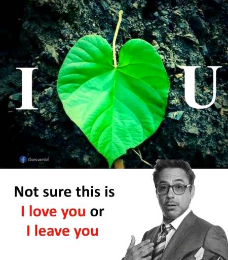 Not sure...🤐
