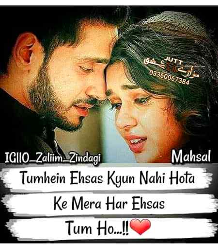 hlo friends