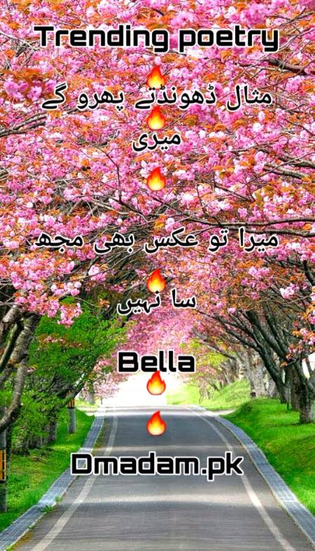 Assalam o Alikum Afternoon💜❤💙🔥💛💚