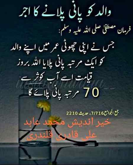 Sending by fareed ahmed shaikh
