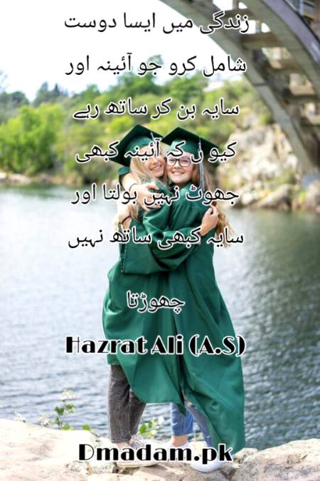 Dost❤❤❤❤