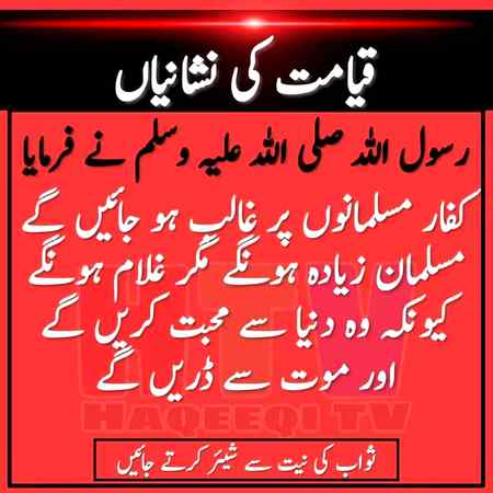 hlo friends
