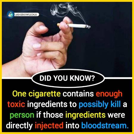 Did you know