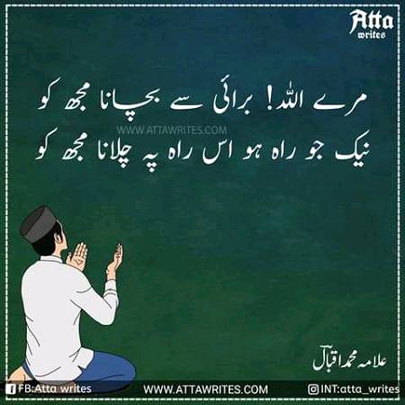 Ameen 🌺 Suma ameen (✷‿✷)