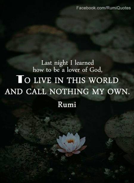 RUMI'S WORDS