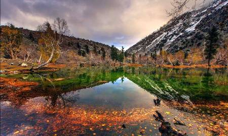 Naltar Valley,Gillgit Balitistan,Pakistan