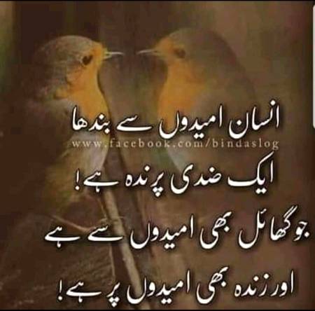 ⁦❤️یہ دنیا بھی امیدوں پیہ قائم ہے۔

اس لیئے کسی کا امید کبھی نہیں توڑنا۔۔💔