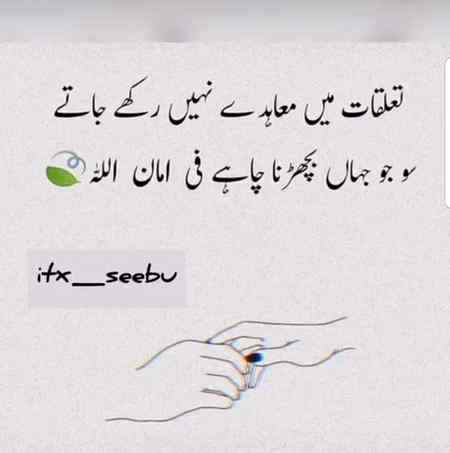 ALLAH Hafiz