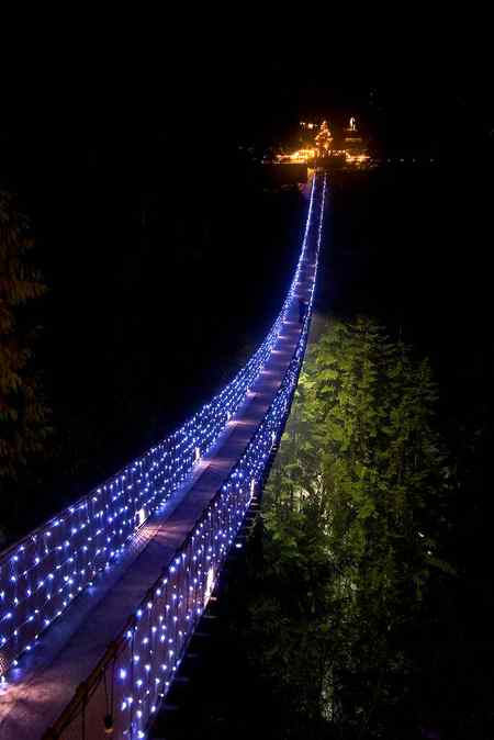 Capilano Suspension bridge during their Canyon lights events ..
