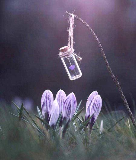 *" محبت میڈیسن کیطرح ہوتی ہے...!!"* 
میڈیسن کی ایکسپائری ڈیٹ ہوتی ہے____ 
*وقت پر ملے جان بچا لیتی ہے...!!* 
وقت پر نہ ملے تو کوئی فائدہ نہیں ہوتا...!!! 
```مرض بڑھ چکا ہوتا ہے.... 
اور____ 
اگر ایکسپائر ہونے کے بعد ملے...!!```
*تو تندرست ہو چکے کو بھی شدید بیمار کر دیتی ہے...!!* 
*جان بھی جا سکتی ہے...!!*