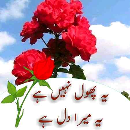 Sending by fareed ahmed shaikh