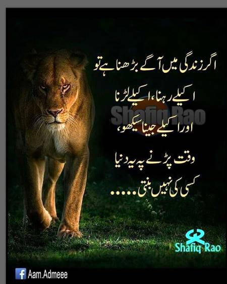 Aik allah pa or aik khud pa bharosa ha😍