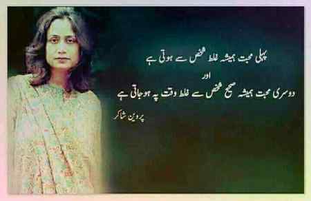 hlo friends
