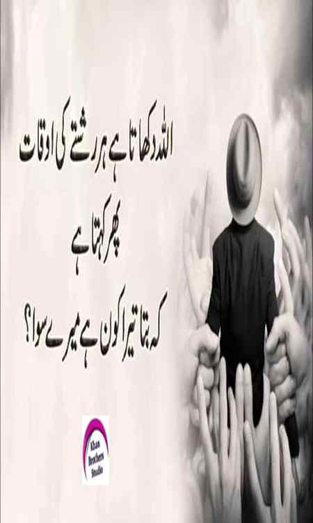 ❤💞damdam .pk💞💗