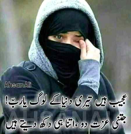 hlo friends