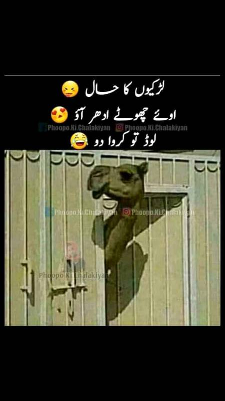Load to krwade😜😜