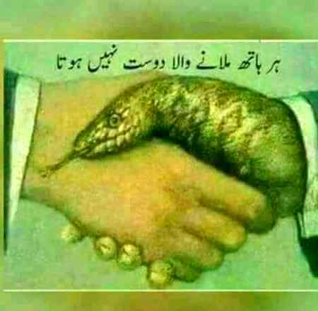 اسی لیے کہتے ہیں کہتی ہر کسی پے یقین نہ کر لیا کرو بلکہ تحقیق کر لیا کرو