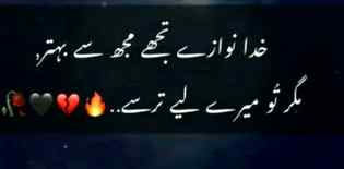 ہمارے تو شوق بھی آپ کی اوقات سے اونچے ہیں۔بس کبھی غرور نہیں کیا۔