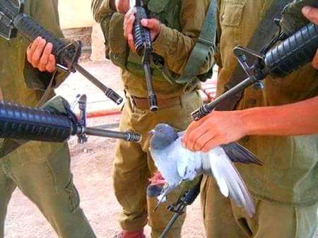 Ye kis country ki fojj hi