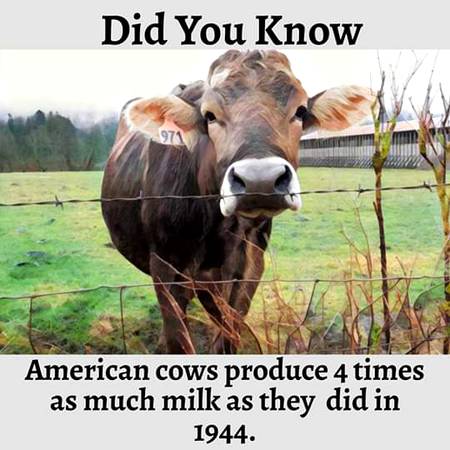 Did u know