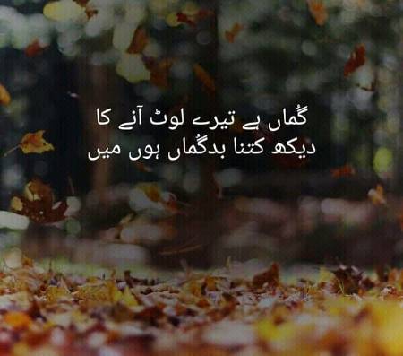 '""''""''""/^^//^^^///^^^//^^^