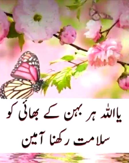 🌸ایک بہن 💕کا سب سے بڑا دوست بھائی💕 ہونا چاہیے🌼🌼 تاکہ اسے کسی اور سہارے کی ضرورت نہ پڑے🌸🌸