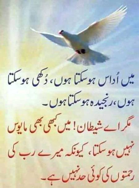 Beshak😊😊😊