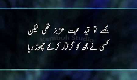 kisi ne mujhy b nhi pyaar kiya