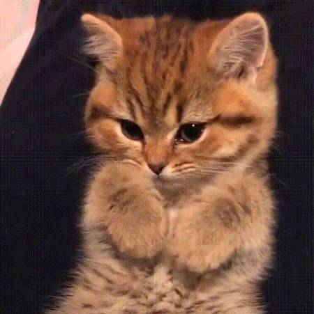 When  u want to reject...😷