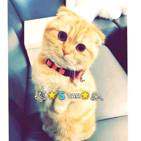 اچھی پوسٹس کرتا رہوں گا
 متاثر ہونے والی اللہ دے گا.