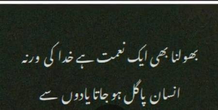Bilkul Sahi 💯💯💯