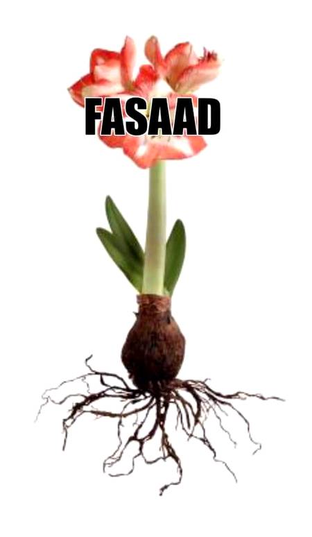 Fasad ki jarr