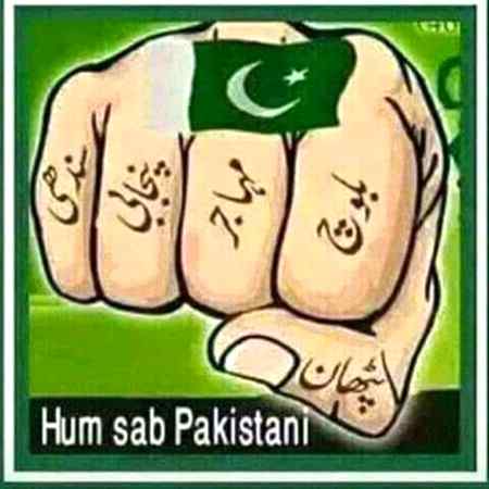 Hm sb pakistani hai❤❤❤✌